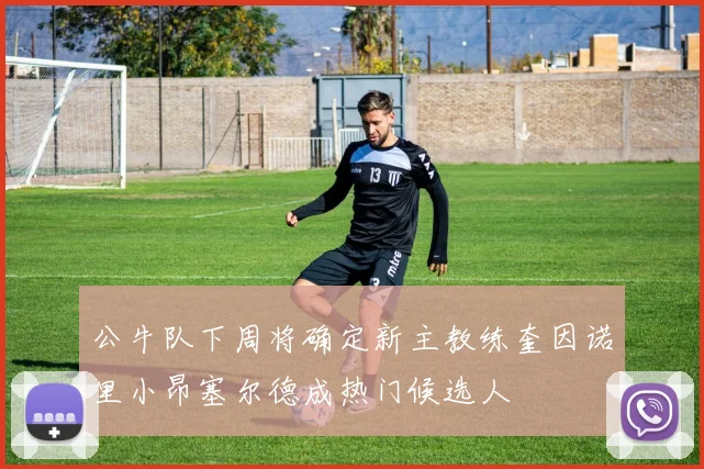 公牛队下周将确定新主教练奎因诺里小昂塞尔德成热门候选人
